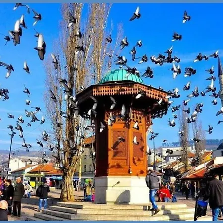Malta Sarajevo